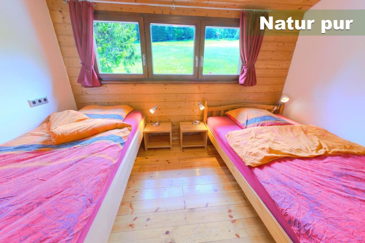 Wohlfuehl-Ferienwohnung 80 Qm, 8 Personen, Aussicht & Heimkino تودتناو المظهر الخارجي الصورة