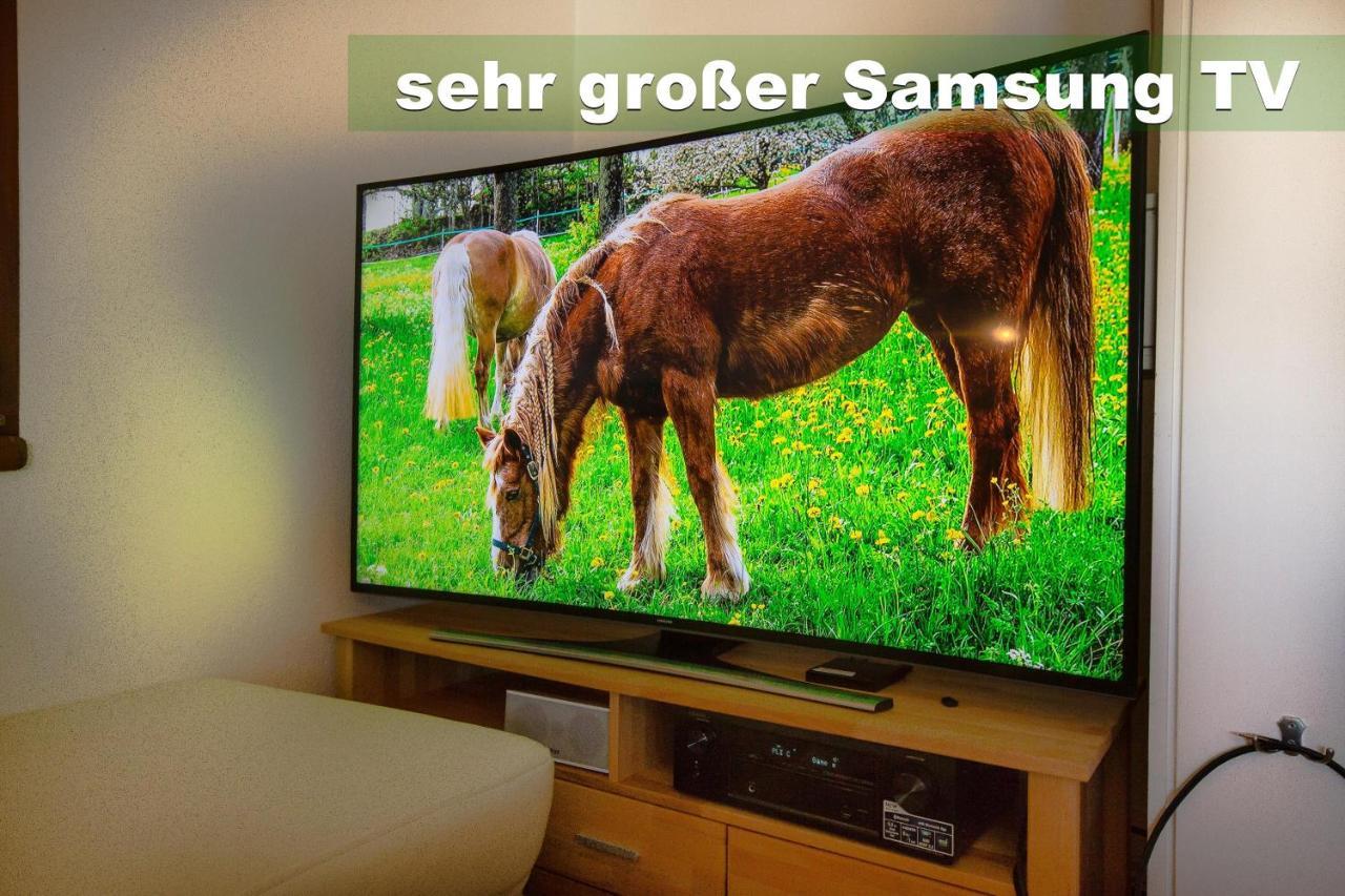 Wohlfuehl-Ferienwohnung 80 Qm, 8 Personen, Aussicht & Heimkino تودتناو المظهر الخارجي الصورة