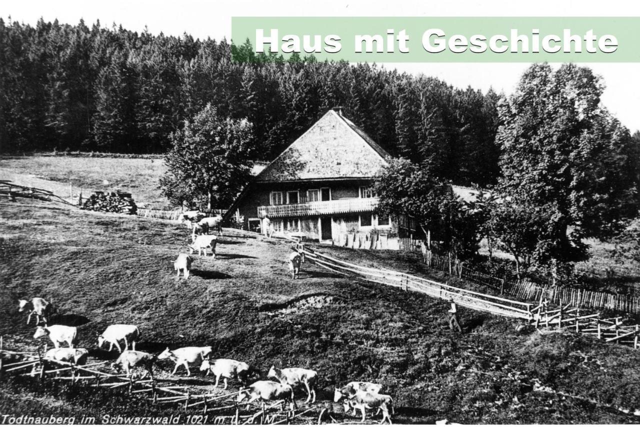 Wohlfuehl-Ferienwohnung 80 Qm, 8 Personen, Aussicht & Heimkino تودتناو المظهر الخارجي الصورة